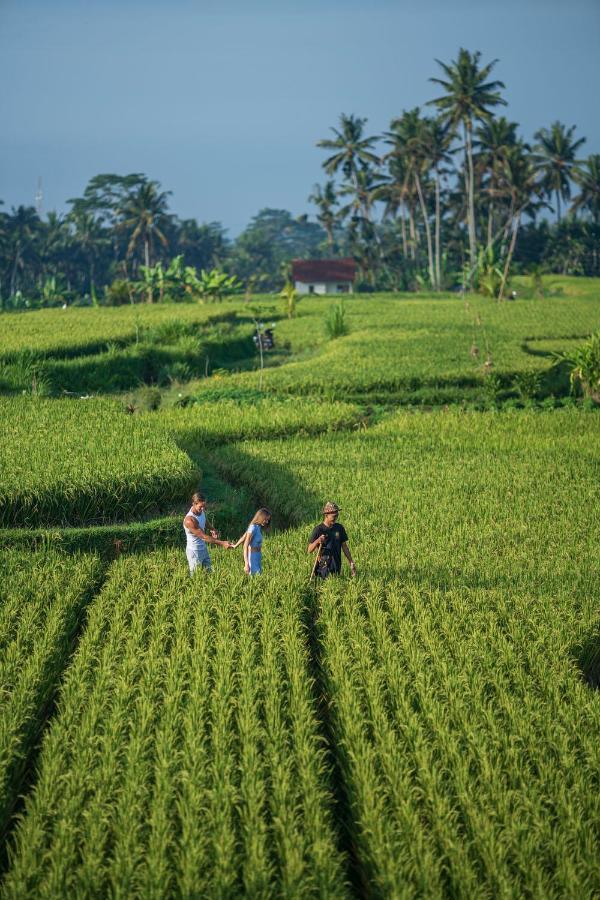 The Sun Of Granary Resort And Villas Ubud Eksteriør billede