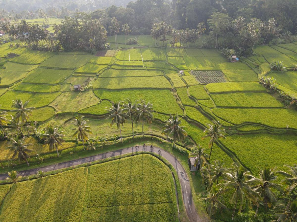 The Sun Of Granary Resort And Villas Ubud Eksteriør billede