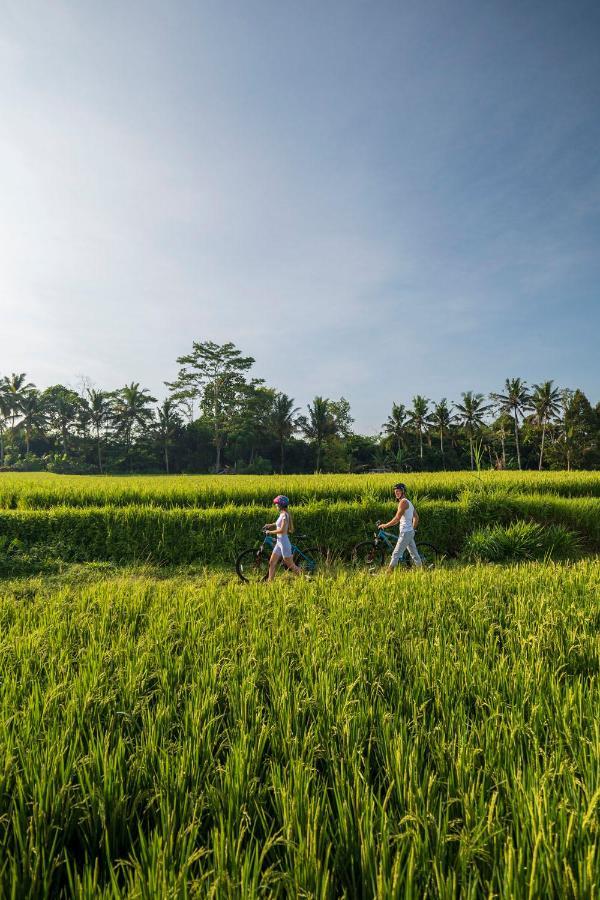 The Sun Of Granary Resort And Villas Ubud Eksteriør billede
