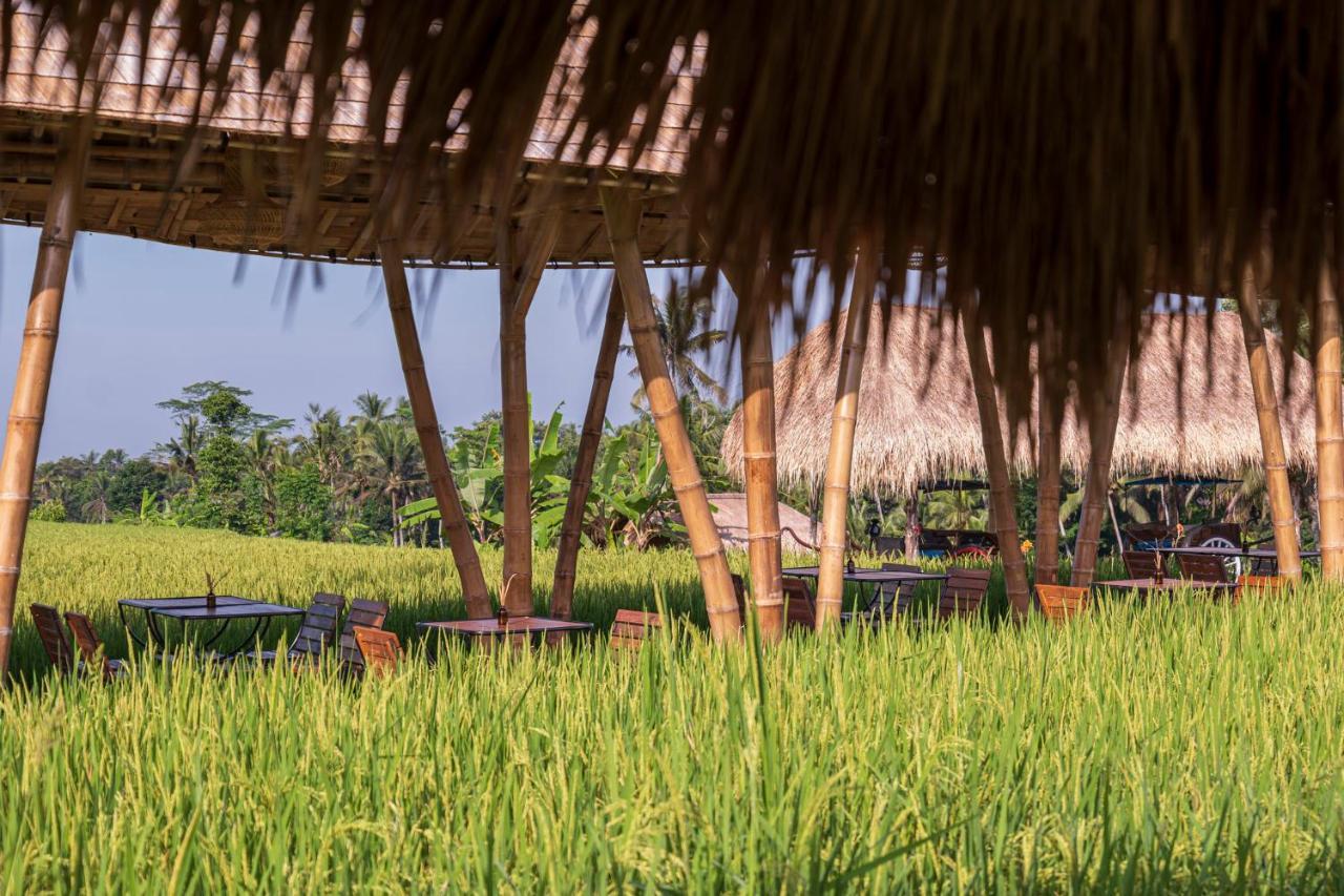 The Sun Of Granary Resort And Villas Ubud Eksteriør billede