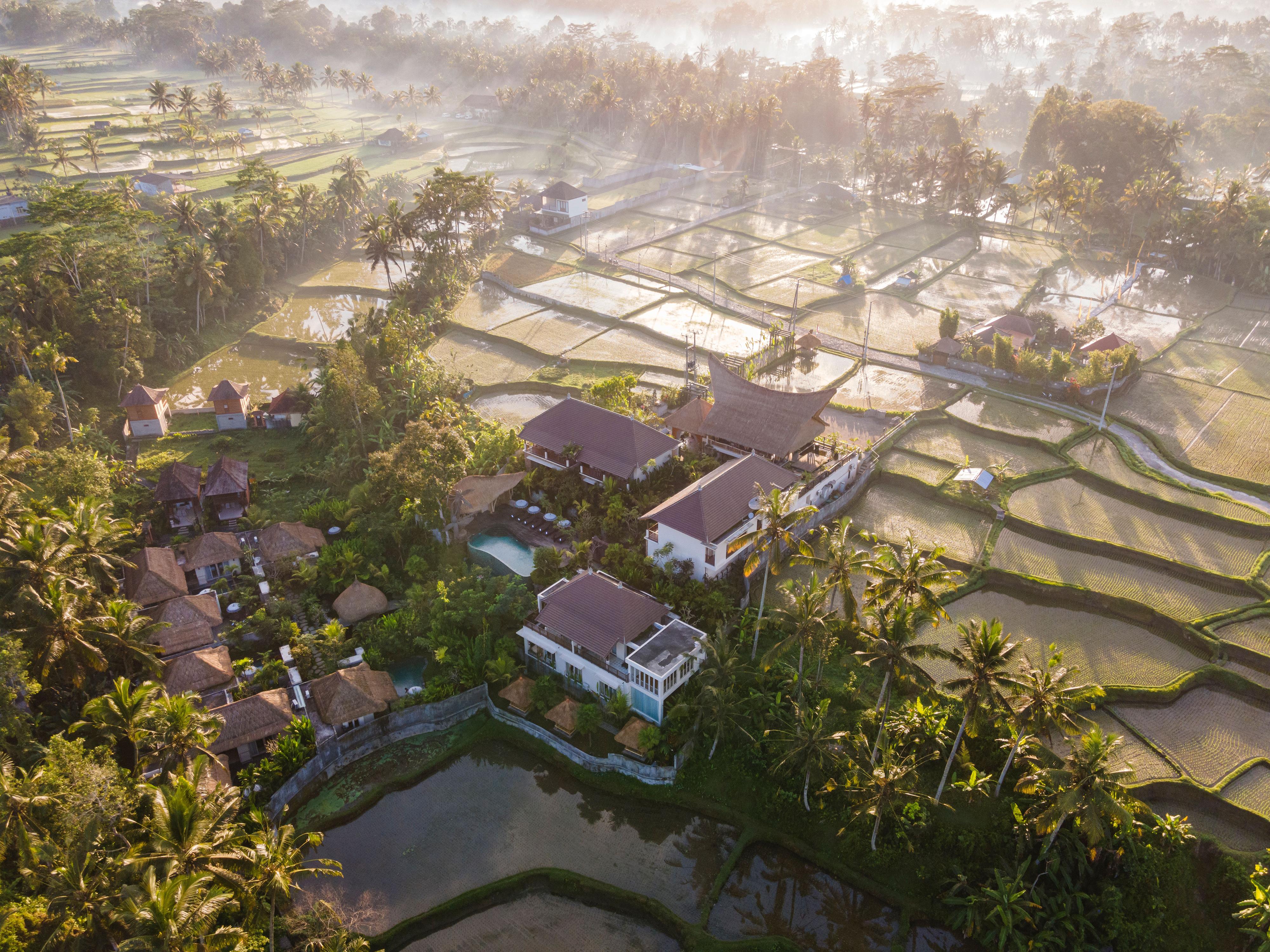 The Sun Of Granary Resort And Villas Ubud Eksteriør billede