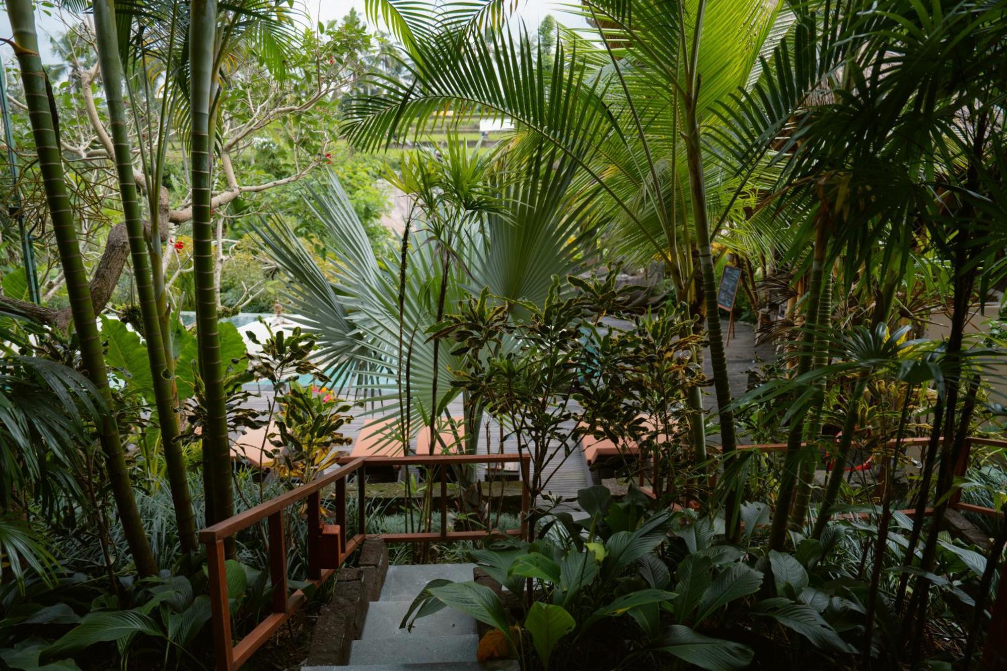 The Sun Of Granary Resort And Villas Ubud Eksteriør billede